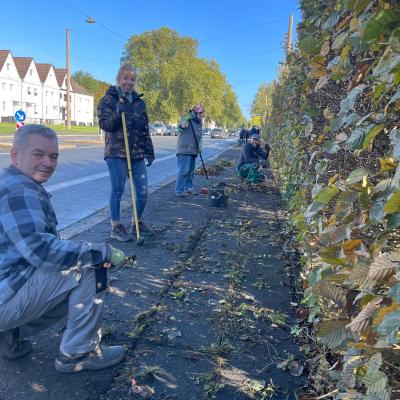 Heckenschnitt Herbst 2026